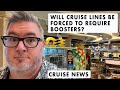 CRUISE NEWS - TIME IS RUNNING OUT FOR CRUISE LINES, CARNIVAL VALOR UPDATE and MORE