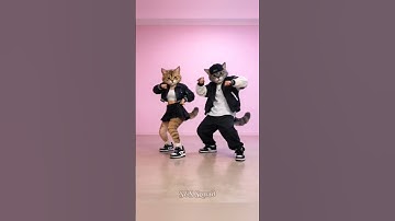 The "APT" Cat Dance you didn