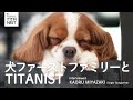 【TITANIST】シンガーソングライター宮崎薫さん番外篇(ペット周りの使い方)