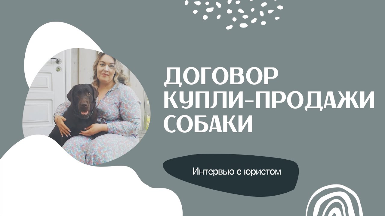 Договор купли-продажи собаки - YouTube