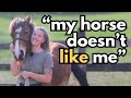 Why your horse doesnt like you