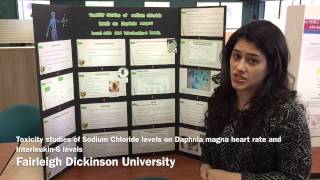 Toxicity Studies Of Sodium Chloride Levels On Daphnia Magna Heart Rate And Interleukin-6 Levels