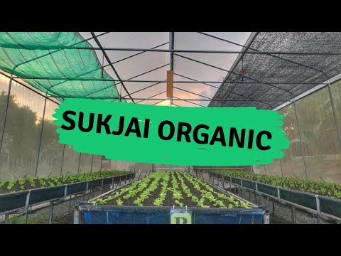 SUKJAI ORGANIC