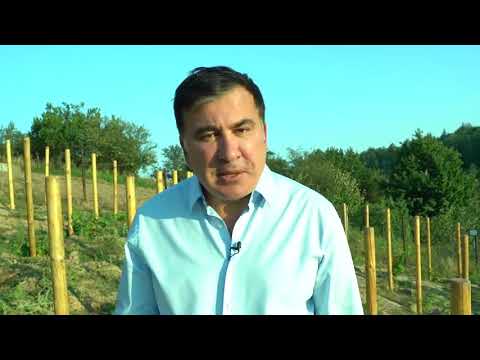 მიხეილ სააკაშვილი: გაძლევთ გარანტიას, რომ 30 თეთრის ნაცვლად 1 კგ ყურძენზე 80 თეთრის დამატება მოხდება