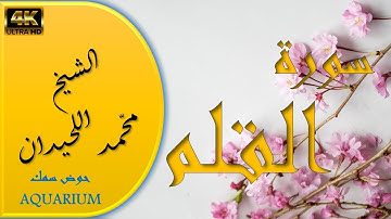 سورة القلم الشيخ محمد اللحيدان تلاوة خاشعة #