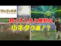 知っていると便利！？ゼルダの伝説ブレスオブザワイルドにまつわる小ネタ9選！！【ブレワイ】