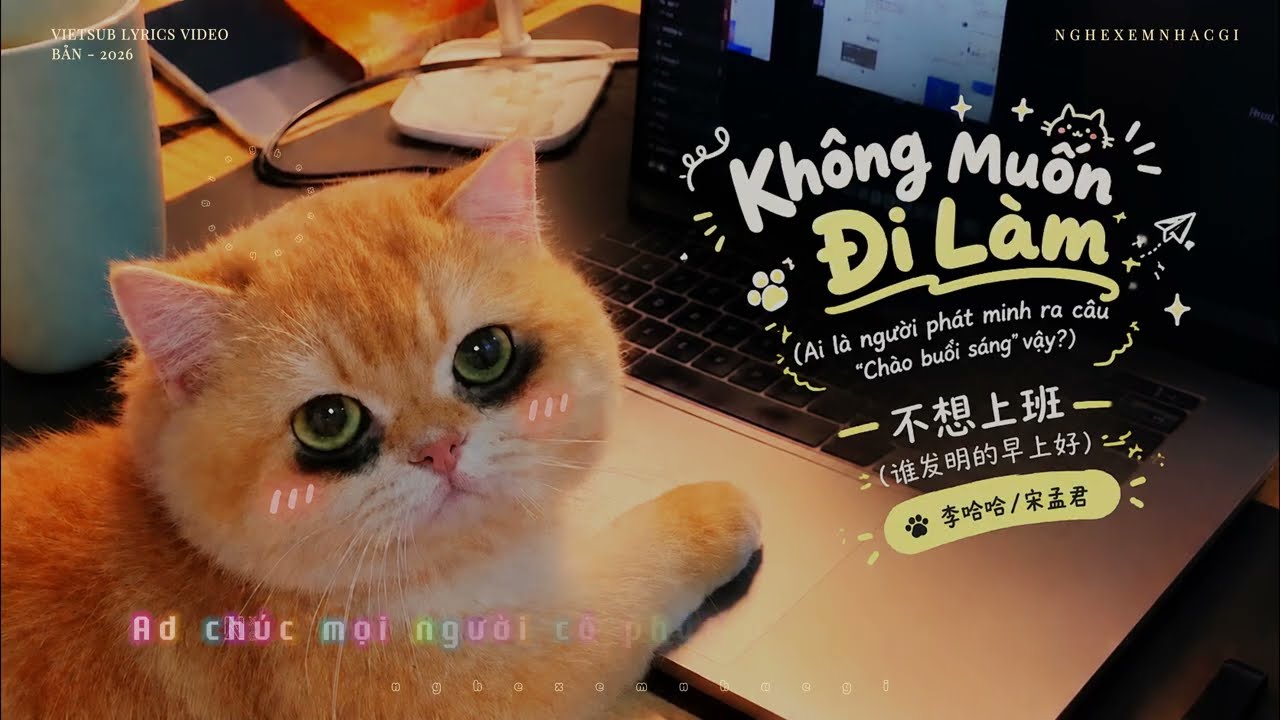 Video YouTube