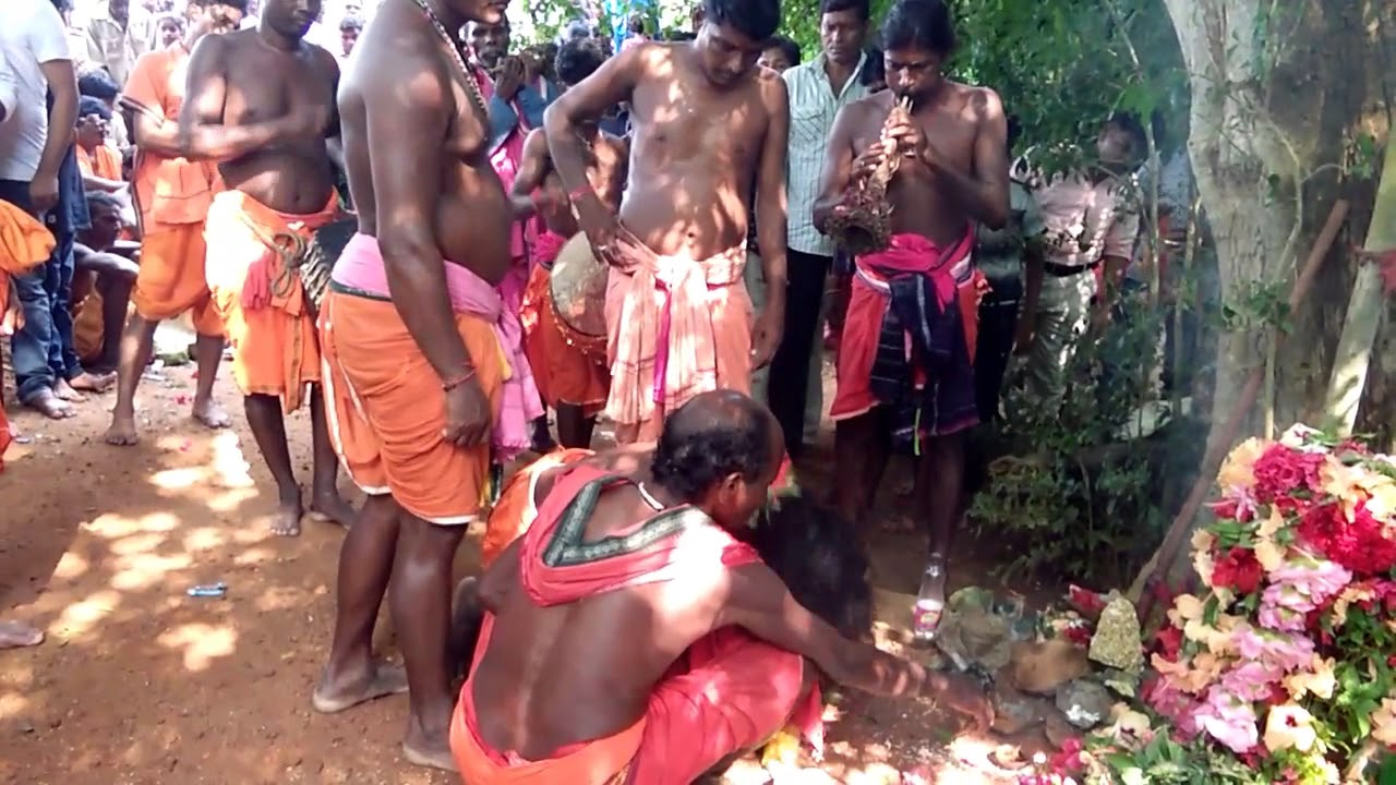 Jarasingha patkhada jatra Jena puja