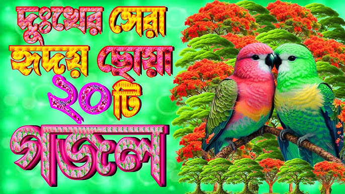 Orgazm fotosuratlari, qizlar kamming, orgazm squirting