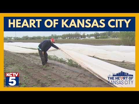 Chris Lockhart: Kansas City's Unlikely Hero?
