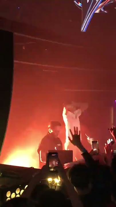 Yalla Habibi #bravy #whisnusantika