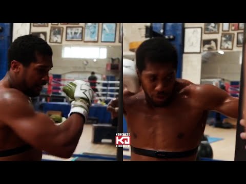 Champion Anthony Joshua