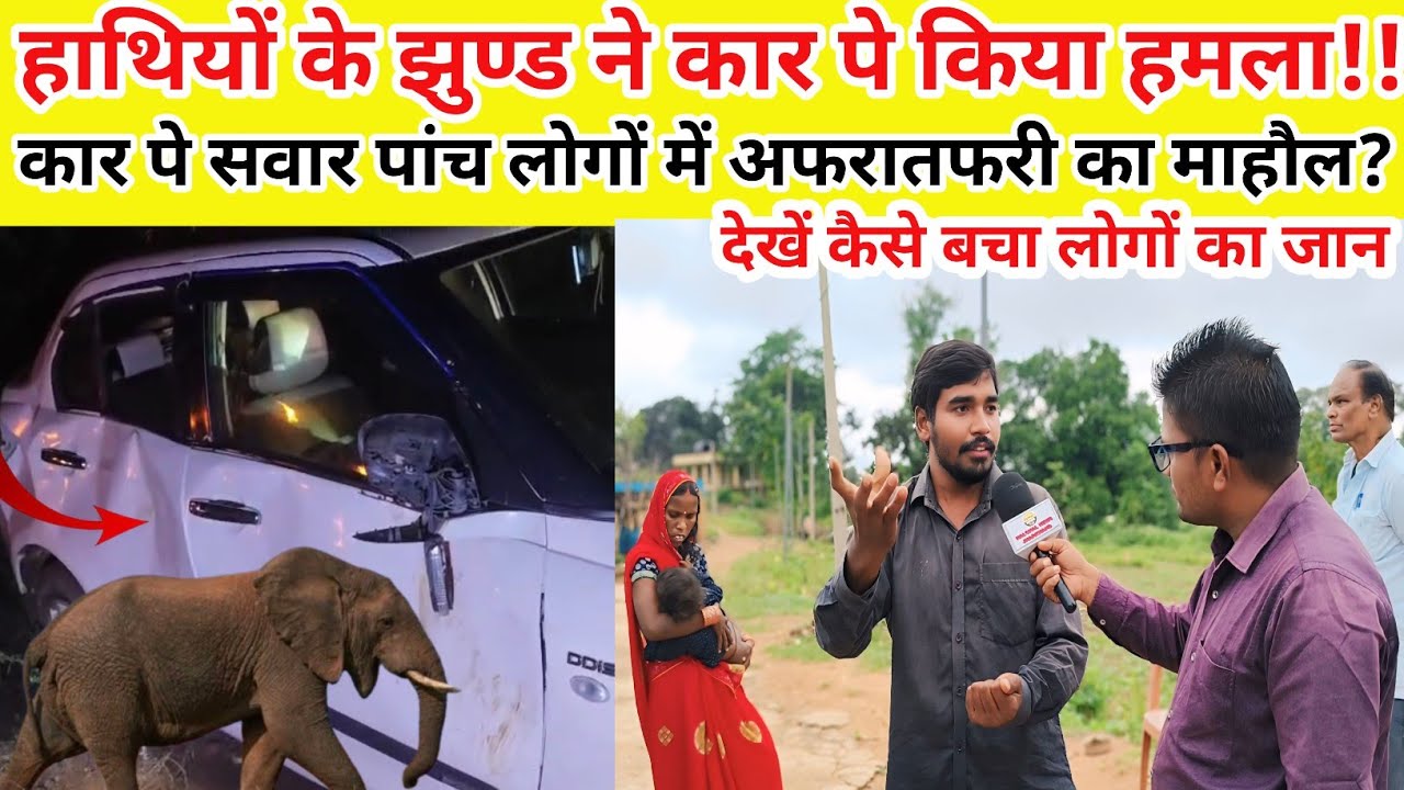 कार पे हाथियों के झुण्ड ने किया हमला!! कार पे पांच सवार लोगों में अफरातफरी का माहौल? देखें video 