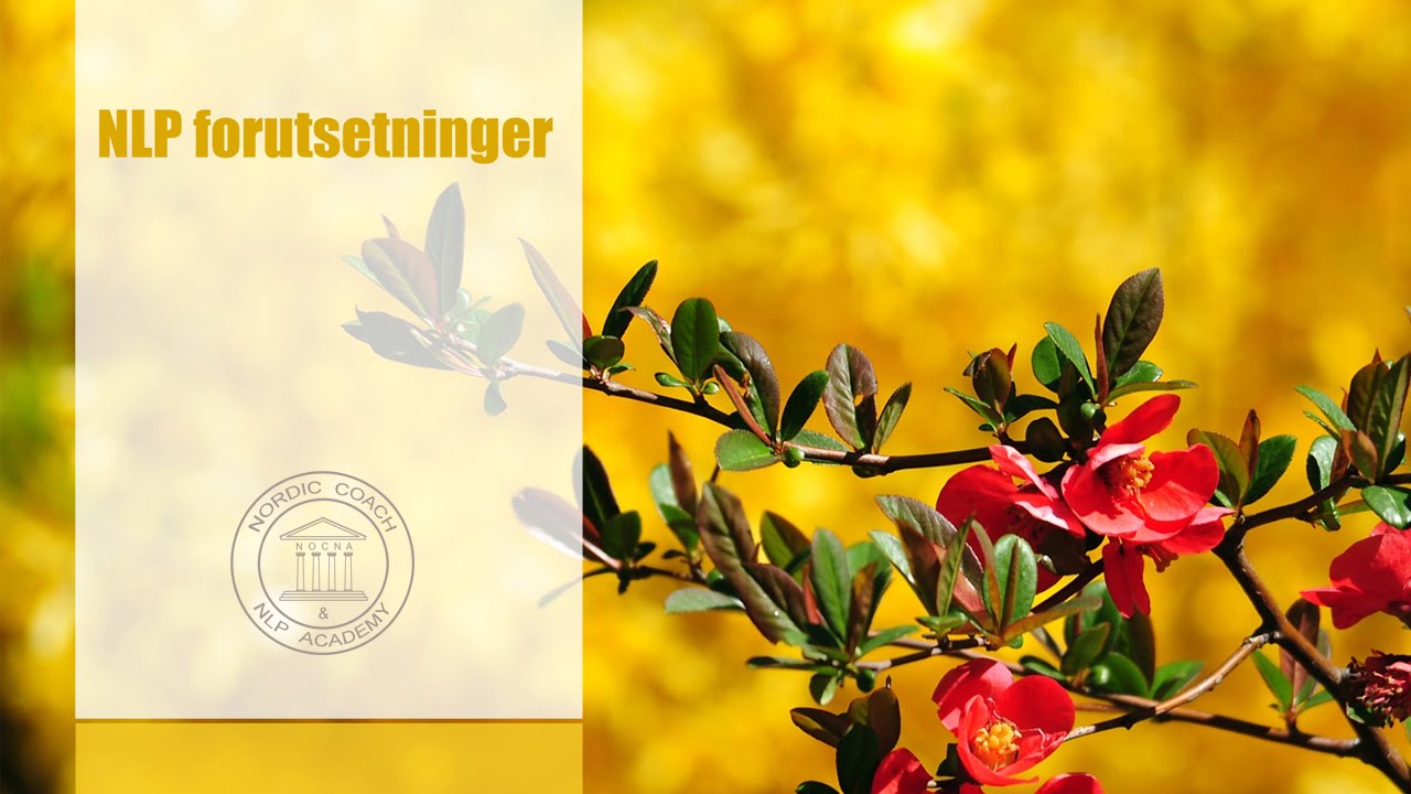 NLP forutsetninger NOCNA