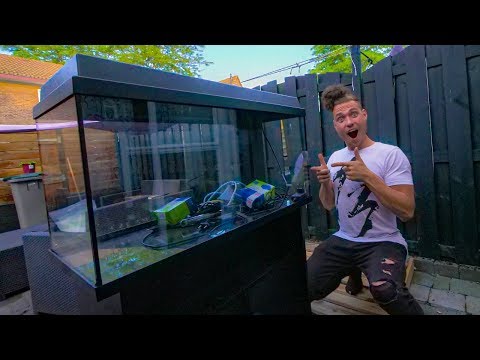 Video: Hoe Versier Je Een Aquarium?