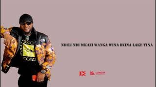 Phyzix - TINA ft. Beejay & Ace Jizzy (Lyrics Video) 2023