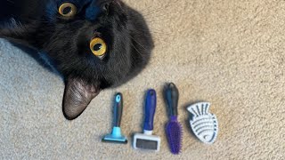 Comparing brushes for short hair cats - ferminator, sungrow undercoat,frisco cat curry, whisker city screenshot 2
