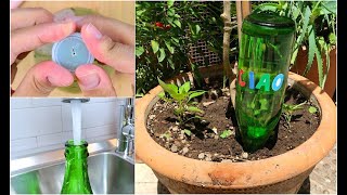 Bottiglia d'acqua rovesciata nella pianta: il trucco utile quando sei in  vacanza - YouTube