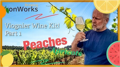 WineExpert - Wine Kit - Viognier Part 1 #wine #winemaking #howto #howtomake