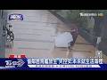 #獨家 偷烏龜放生.闖百年廟撒香灰! 失控女前科多 家屬無奈｜TVBS新聞 @TVBSNEWS01