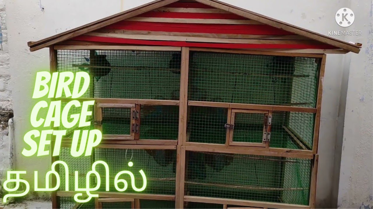 How to make Bird Cage For Love Birds🐦🐦🐦 home Finches And Lovebirds Bird Cage Made In Home