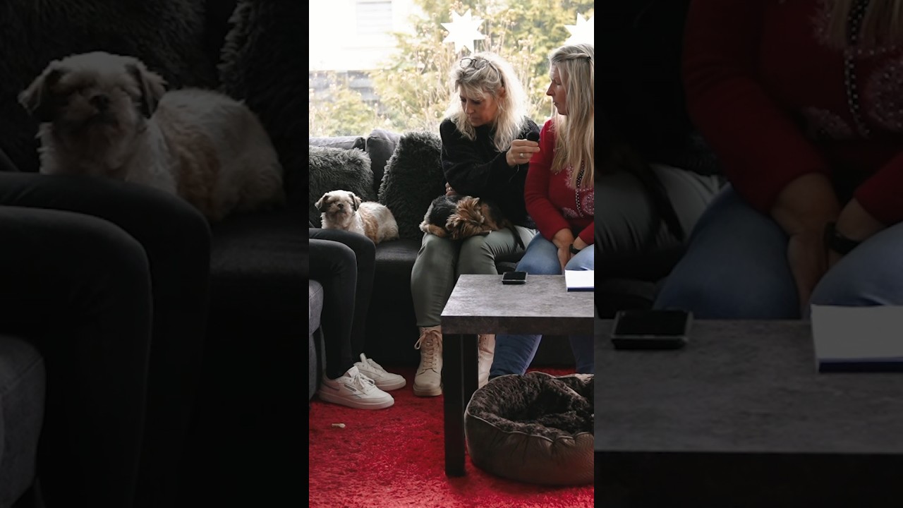 Tiergespräch vor Ort | Teil 4 🐶🐾