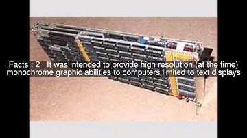 Orchid Graphics Adapter Top  #5 Facts