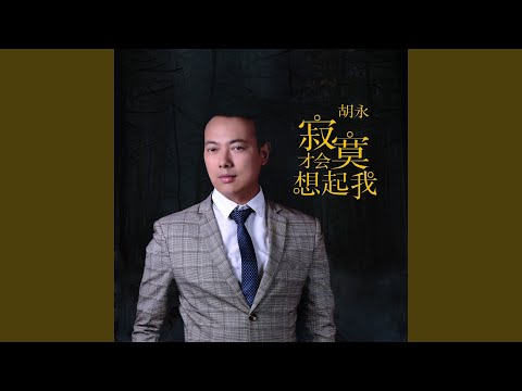 寂寞才会想起我 (DJ何鹏版)