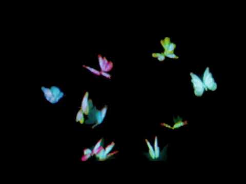 butterfly overlay