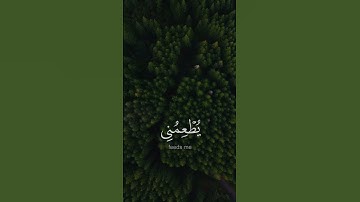 الـذي خلقني فهو يهدين - #عبدالله_الموسى - #سورة_الشعراء #حالة_واتس