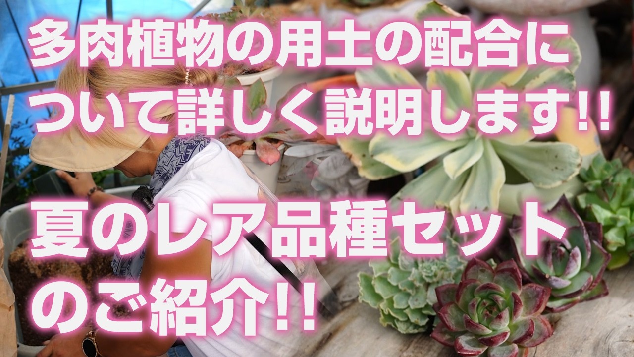 07/29/2026 [Succulents] A detailed explanation of succulent soil