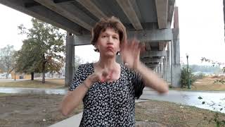 ASL Classifier Practice, Herd