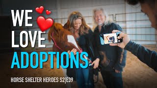 Horse Shelter Heroes | S2E39 | Full Episode