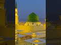 غابت العقول من شووووق الرسول نورعيني حبو يا عزوووول أنا عنو ما بحوووول
