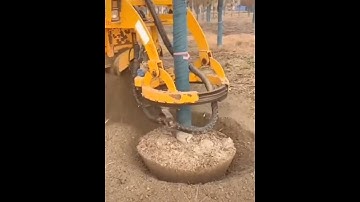 Amazing moving large trees by tree moving machine! #shorts