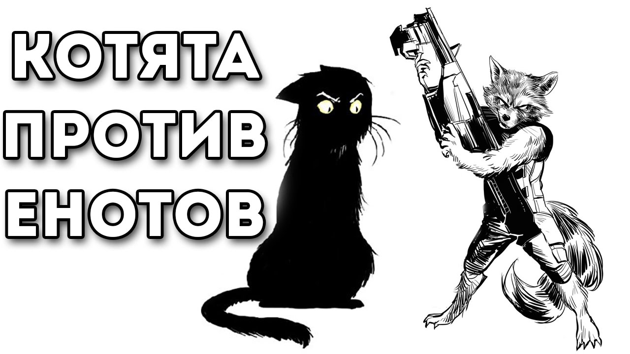 Люди против кошек. Енот против кота. Котята против енотов. Против котов. Кот против человека.