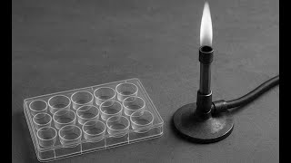 Qualitative Analysis of Cations Lab