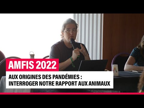 Vidéo: URGENT: Plusieurs marques de ce goûter populaire pour chiens ont été rappelées en raison de la bactérie Salmonella