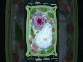 Structure of a plant cell #biology #shortvideos #study #ncertbio #ytshorts