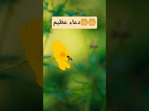 دعاء عظيم اسمعه و قل يارب