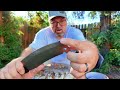 I am loving these blades from APOC SURVIVAL TOOLS! They are tough! The Demko Rhino Hybrid!