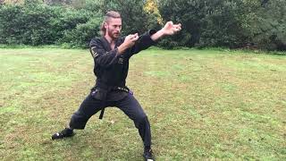 Shaolin Dragon Full Form By Zinjutsu Kung Fu