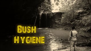 Bush Hygiene (Sweetgum Toothbrush)