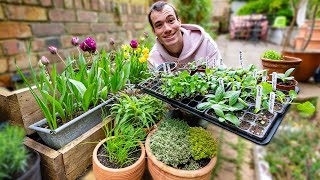 A year of gardening begins  sowing seeds and planting fruit trees