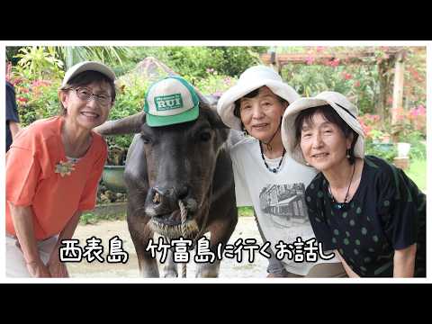 西表島　竹富島に行くお話し