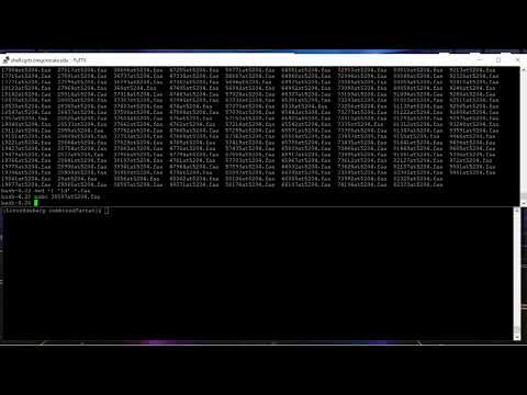 Concatenate fasta files together for Phylogenetic tree made with BUSCO genes: Video 4