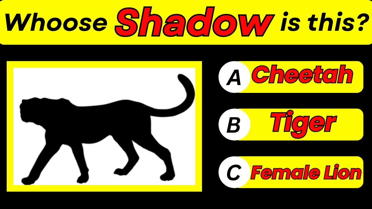 Can You Guess the Animal by Its Shadow? 🐾🌑 - YouTube