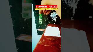 Experiment 423 Physics Phenomena In Everyday Life experiment physics shorts