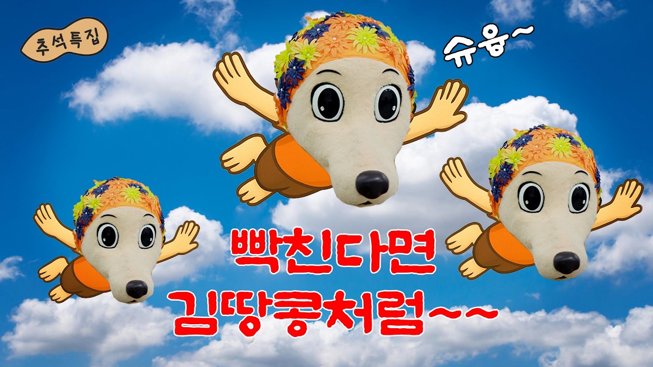 🔥지금 제일 핫한🔥 개만도 못한 인간들 참교육하는 유기견 김땅콩 사이다 몰아보기