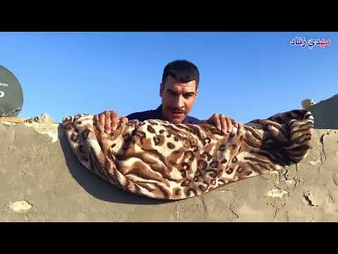 مسلسل مشاكل الحلقه الأوله مهدي زناد 